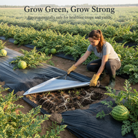 Silver-Black Agricultural Mulch Film for Watermelon Cultivation - Thickened, Insulating, Reflective, Weed Control