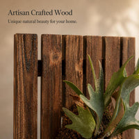 Large Carbonized Wood Fern Mounting Board for Staghorn Ferns and Orchids