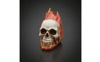 Three-Dimensional Skull with Flame Outer Form Gothic Skull Figurine Indoor Collectible for Tabletop