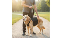 Adjustable Straps Dog Rehabilitation Harness Multi-Functional Pet Grooming Sling Padded Handle for Elderly Dogs, Stair Climbing, Car Entry