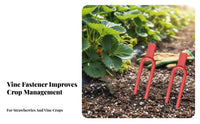 Secure Hold Strawberry Vine Fork Easy to Use Strawberry Support Fork Sturdy for Home Gardeners, Farmers, Garden, Vegetable Plot, Greenhouse