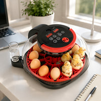 Digital Egg Hatcher Transparent Tabletop Hatcher with Water Cup Compact for Hobbyists, Educators, Home Hatching, Classroom