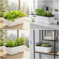 Rectangular Self-Watering Planter Plastic Self Watering Planter Long-Lasting Flower Box Sturdy for Windowsill