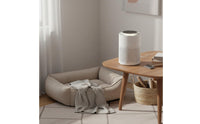 Compact Design Desktop Air Purifier Low Noise Operation Small Air Purifier 3-Stage Filtration for Smokers, Families with Children