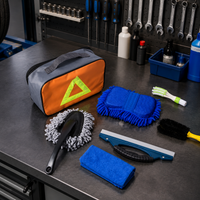 car cleaning kit