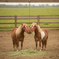 Horse Treat Ball Open-Lattice Feeder Toy with Geometric Cage Boredom Breaker Hay Ball for Horses, Ponies, Stall, Paddock