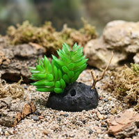 Stable Freestanding Plants and Reptile Foliage, Bearded Lizard Tank Accessories, Insect Vivarium Decor for Desert and Tropical Enclosures