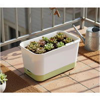 Indoor Outdoor Use Self-Watering Planter Air Circulation Design Self-Watering Planter Box Prevents Root Decay for Living Room, Balcony