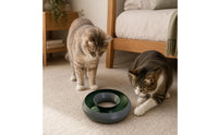 Cat Toy with Ball Track Independent Cat Circular Toy Indoor Compact for Cats, Floor, Apartment