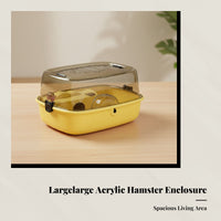Acrylic Hamster Enclosure, Large, Two Floors, Syrian Hamster Habitat, Portable Design