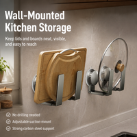 Kitchen Rack, Wall Mounted Spice Rack, Gunmetal Grey Metal Shelf, No Drill Adjustable Suction Cup Storage