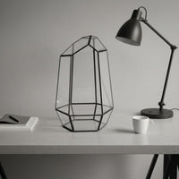 Geometric Plant Terrarium Modern Design Geometric Glass Planter Nordic Design Display Case for Home Stylists, Desktop, Windowsill, Office
