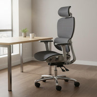 Support Ergonomic Office Chair High Back Mesh Chair for Gamers, Students, Study Room
