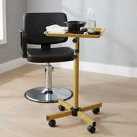 Mobile Tool Stand Stable Base Hair Stylist Tray Stand Adjustable Rolling Salon Tray for Barbers, Estheticians