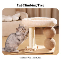 Padded Rim Cat Scratching Tree Compact Cat Climbing Tree Sturdy