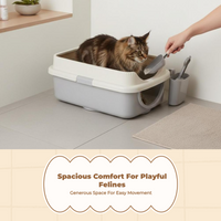 Cat Litter Box, Odor Control, Large, Open Top, Indoor