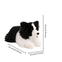 Border Collie doll Authentic-Looking Stuffed Dog Furry Toy for Kids, Young Children, Nursery