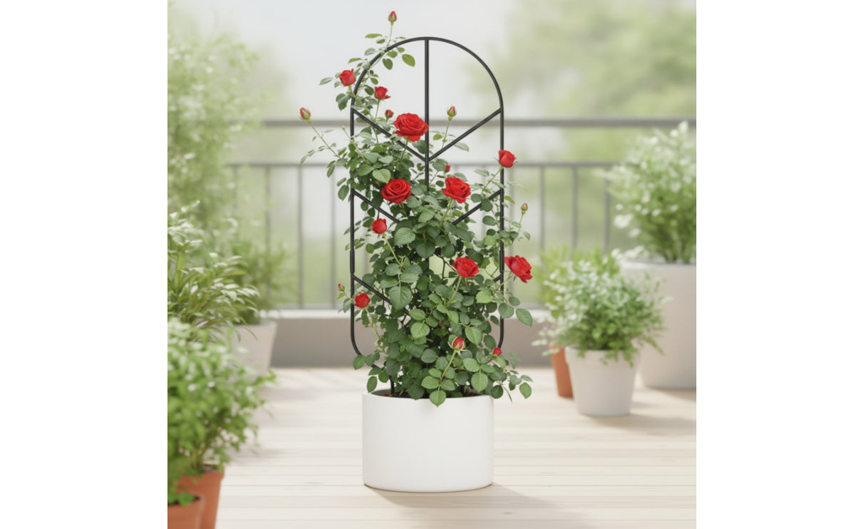 4 Pieces Metal Plant Trellis Tall Trellis with Arched Top Indoor Climbing Frame for Balcony
