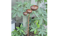 Bird Water Feeder Outdoor Bird Bath with Metal Stake Heavy Duty for Flower Bed