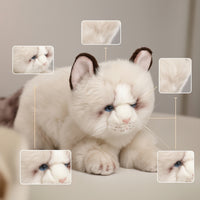 Stuffed Cat Furry Stuffed Cat Kitten Stuffed Toy Collectible Huggable for Collectors, Desk Decoration, Shelf Display