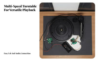3-Speed Turntable with Tonearm DIY Friendly Record Player Turntable Mechanism Built-in Preamp Phonograph Core Assembly for Hobbyists