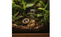 Reptile Feeding Dish with Water Bottle Wood-Look Pet Supply Stable for Vivarium