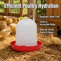 Chicken Water Dispenser Polymer Poultry Drinker, White Red Top Fill Chicken Feeders and Drinkers, Anti Roost Design for Hens