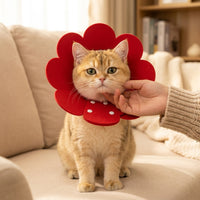 Pet Cone for Neck Recovery, Soft Felt Material for Post-Surgery, Adjustable Anti-Lick Guard in Cartoon Style