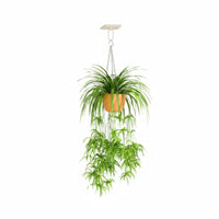Easy to Install surfaceMounted Hanger multifunctional Curved Ceiling curved hanger Simple Design Hanging Bracket sturdy Duty for Plant Lovers, DIY hobbyists, Balcony, Indoors, Indoor, Garden