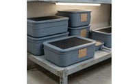 Mesh Lid Box Separate Compartments Double-Layer Breeding Box Mealworm Container Plastic Mesh Breeding Container