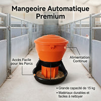 Automatic Piglet Feeder, 6-Compartment Sow Litter Piglet Feeder, Anti-Waste Polymer Pig Trough