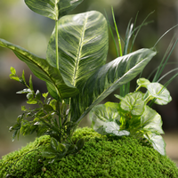 artificial plant arrangement