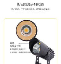 照树灯户外防水投光灯室外花园彩色插地射树灯COB景观庭院投射灯 平口10W/正白光
