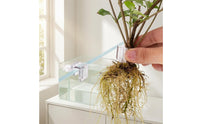 6 Pieces Aquarium Planter Clear Aquarium Plant Clip Hydroponic Support Clip with Screws Transparent for Aquarists, Aquariums