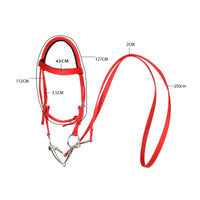 Adjustable Halter with Lead Rope Heavy-Duty Horse Halter Fray-Resistant Headcollar Limited Stretch for Equestrians, Trainers