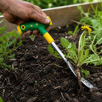Stainless Steel Weeding and Digging Tool for Gardening and Wild Vegetable Foraging