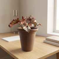 Plant Pots for Indoor Plants and Home Office, Smooth Terracotta Pots with Drainage Hole, Single Breathable Clay Pot, Small Tapered Terra Cotta