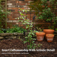 Decorative Bird Garden Trellis Iron Construction Ground Stake Trellis Weather-Resistant Metal Climbing Plant Support for Outdoor, Large Pots