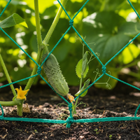 Plant Trellis Netting for Climbing Vines, Fruits, and Vegetables