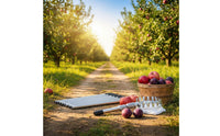 Fruit Picker with Net Bag Adjustable Telescopic Fruit Picker Easy to Use Harvesting Tool for Gardeners, Garden