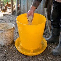poultry feeder