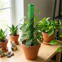 Monstera Plant Support Pole, Stackable Plant Pole for Climbing Plants Material for Indoor/Outdoor Vertical Growth