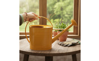 Metal Watering Can with Sprinkler Head Arched Handle Watering Can with Long Spout Stylish Vessel Modern for Gardeners