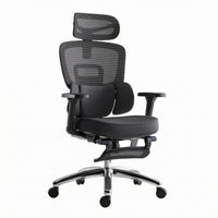 Ergonomic Office Chair Headrest Support Chair Aluminum Alloy Frame