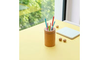 Color Sorting Toy Educational Color Matching Toy Wooden Base with Rods Hands-on Developmental for Toddlers, Playroom, Homeschool