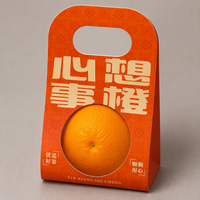 10 Small Brown Fruit Box Catering Boxes 350gsm Paperboard Fruit Packaging Box