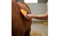 Horse Grooming Brush Removes Mud and Oval Horse Simple to Clean to Clean