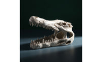 Hand-Painted Crocodile Skull Ornament Compact Aquarium Cave with Hollow Design Realistic Resin Skull Decoration Natural-Looking for Aquatic Pets Keepers, Terrarium