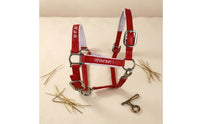 Horse Halter Reinforced Synthetic Leather Halter Padded Tack for Riders, Stable, Training