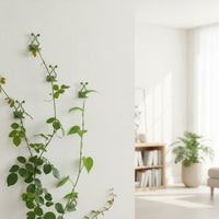 10 Pieces No-Drill Climbing Plant Wall Clip with Adhesive Back Easy to Use Wall Plant Clip with Adhesive Back Space-Saving Discreet for Renters, Indoor Garden, Apartment Balcony